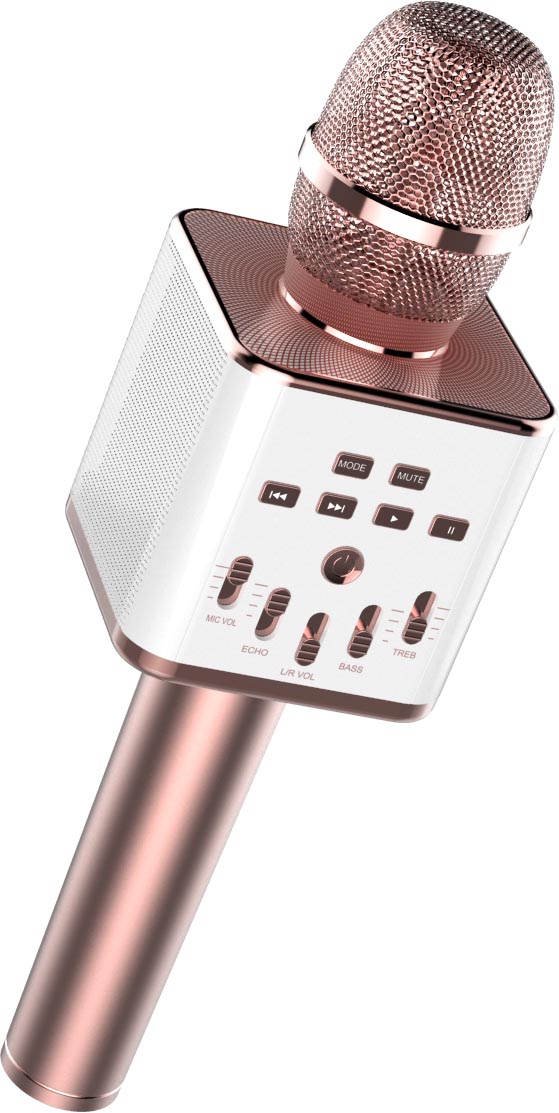 Karaoke microphone